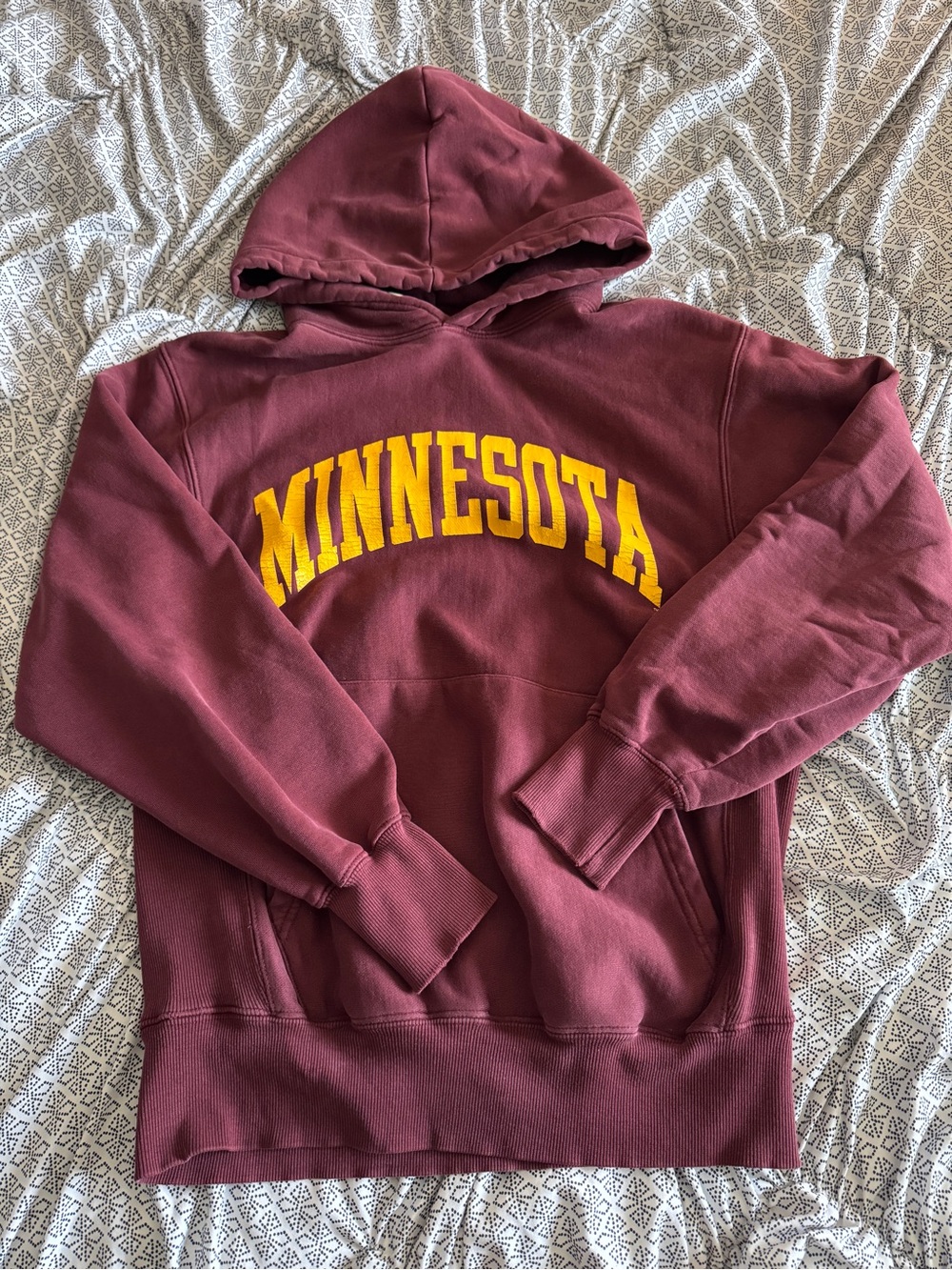 Minnesota Hoodie